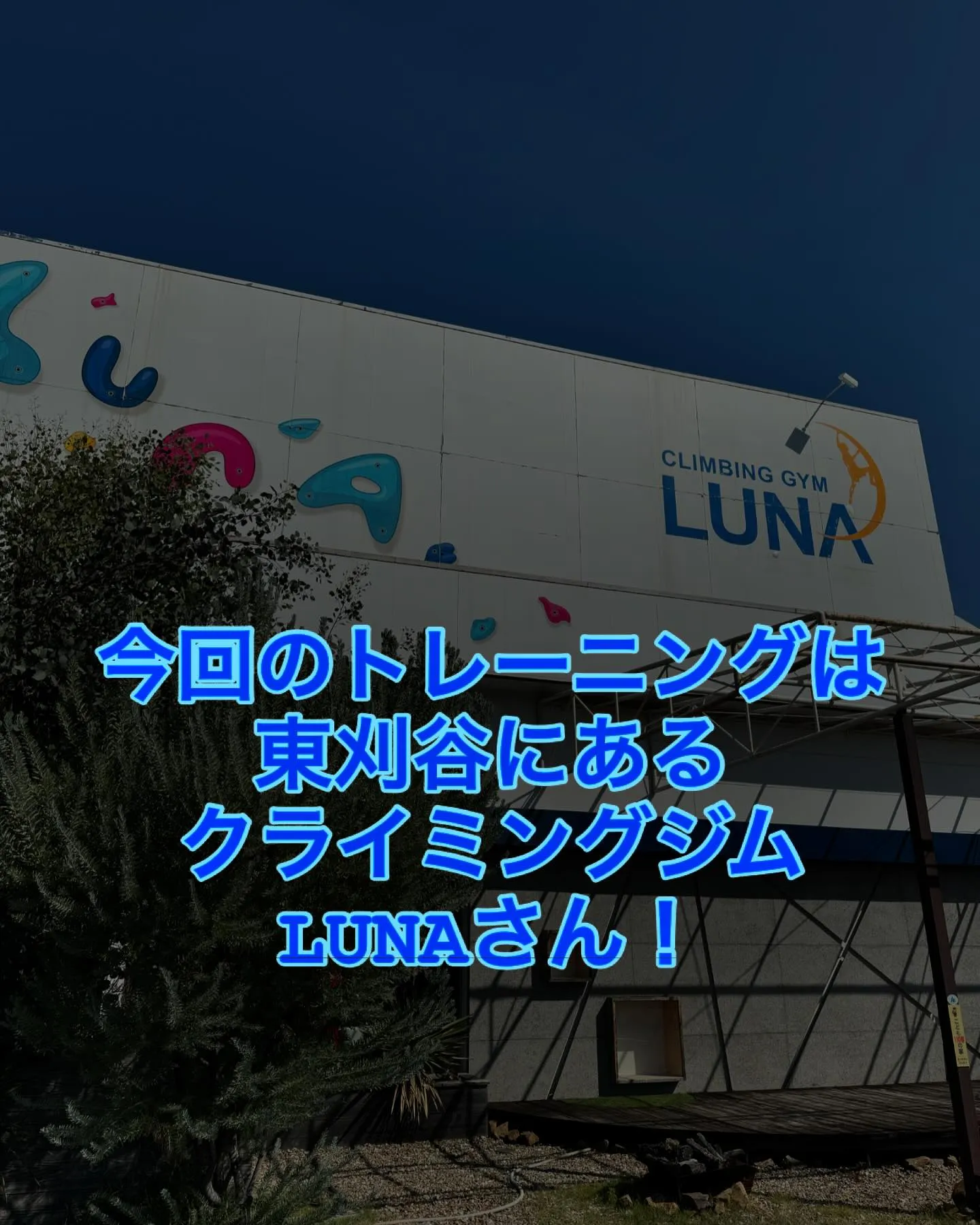 10/19 土曜日 11時〜19時営業‼️