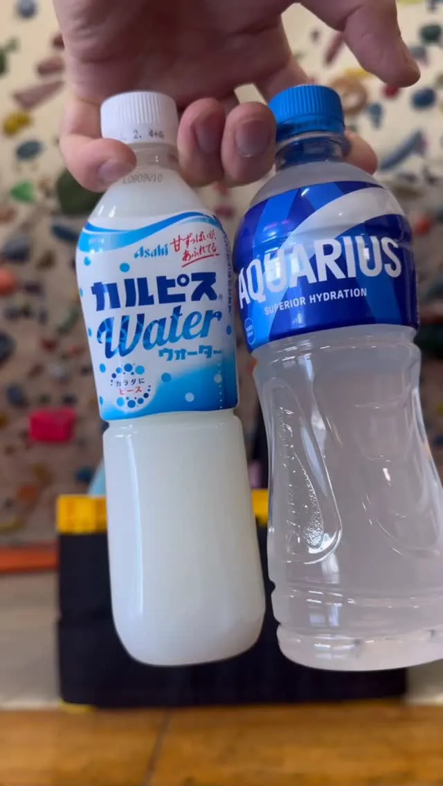 サマーセッション